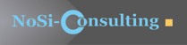 NoSi-Consulting Logo